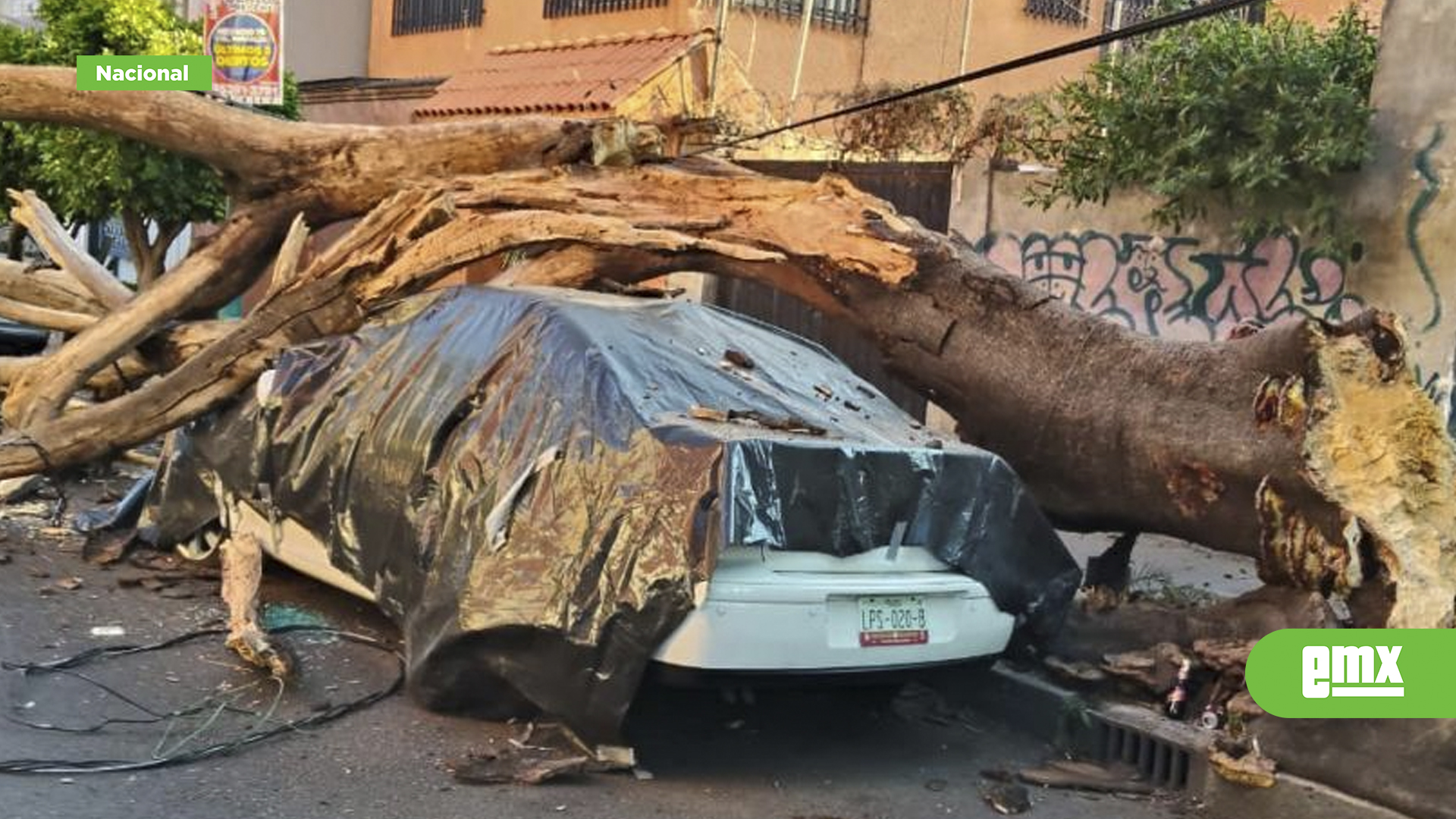 EMX-Reporta-Brugada-12-lesionados-en-CDMX-durante-el-sismo;-evalúan-inmuebles