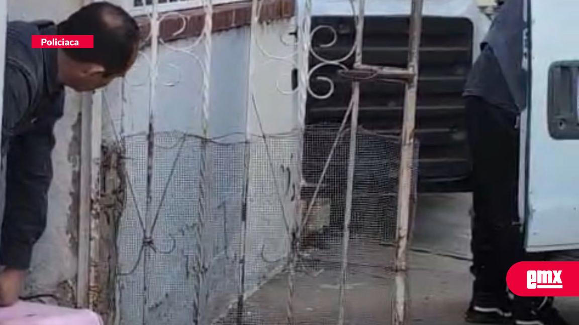 EMX-Detienen-a-presunto-responsable-de-matar-a-un-perro-en-Otay