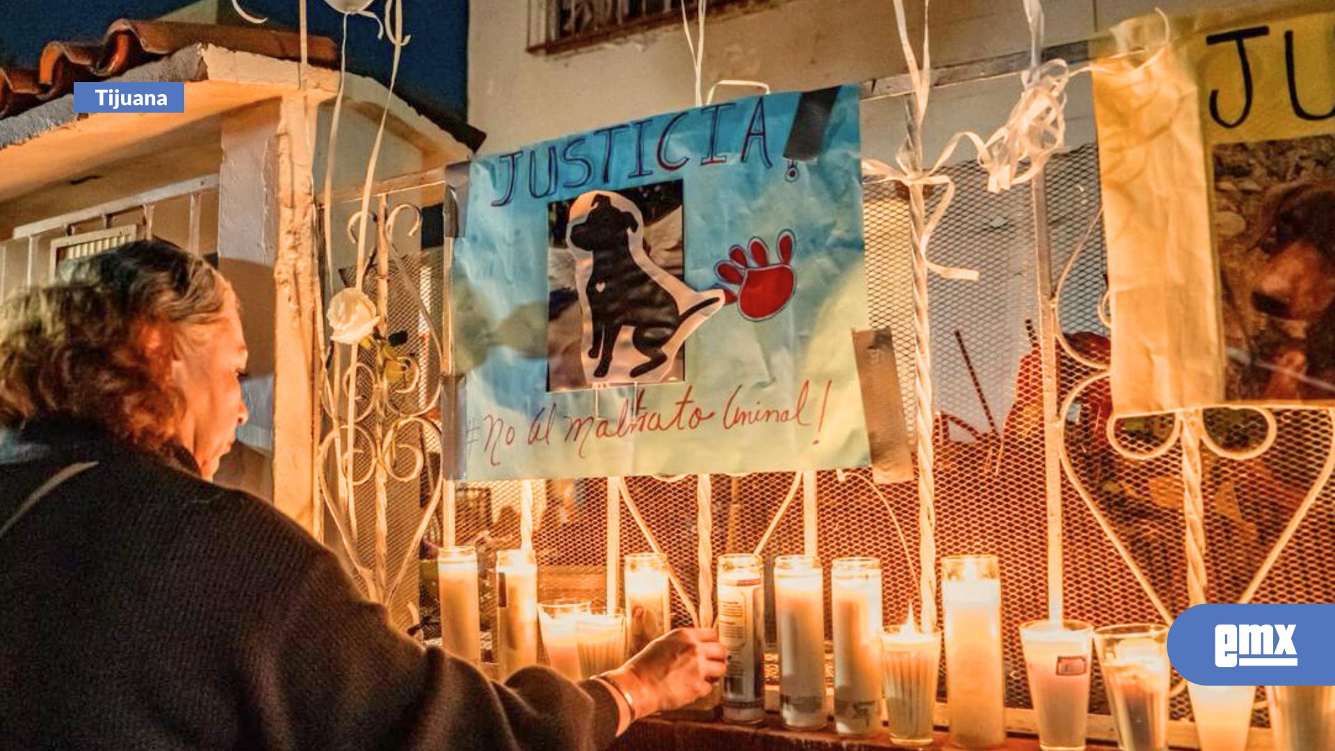 EMX-Con-veladoras-y-globos-blancos-realizan-vigilia-en-memoria-de-“El-Chato”