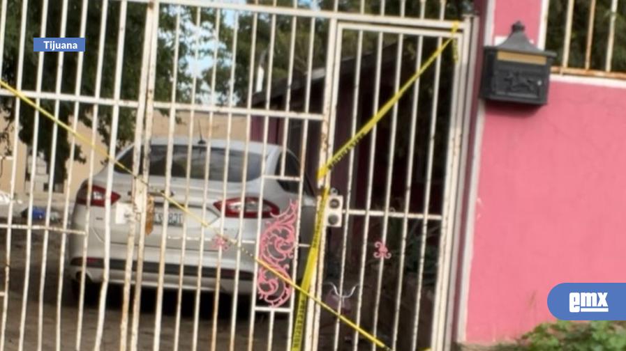 EMX-Vecinos-denunciaron-durante-años-negligencia-y-agresividad-de-perros-que-atacaron-a-niño