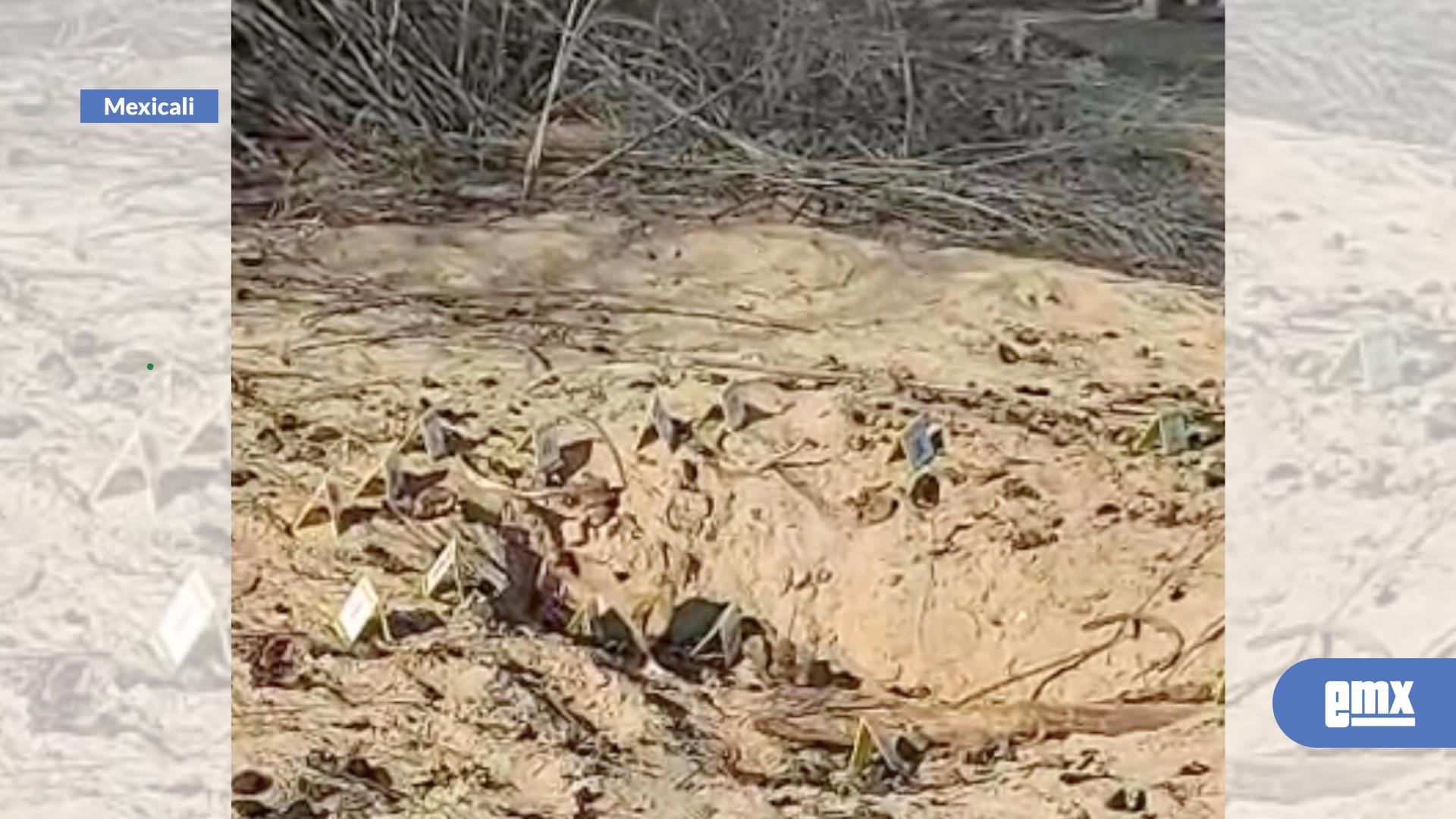 EMX-Localizan-restos-óseos-en-la-colonia-Miguel-Alemán,-en-Mexicali