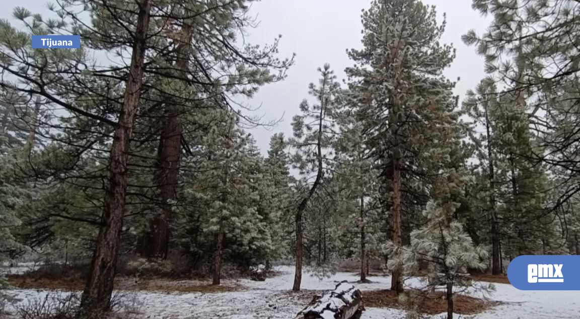 EMX-Protección-Civil-alerta-por-tormenta-invernal-del-9-al-11-de-enero-en-Baja-California