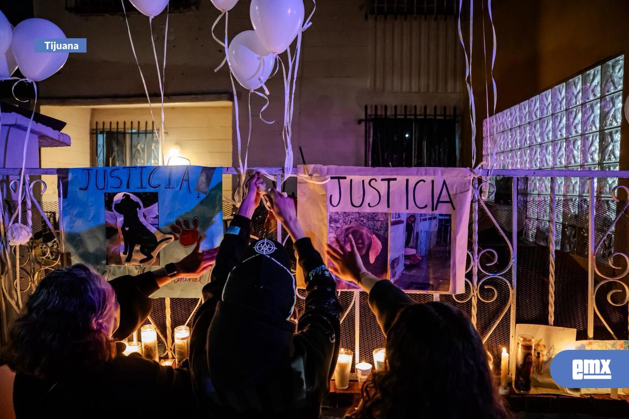 EMX-Crueldad-animal-como-foco-rojo-de-violencia-social.-El-mensaje-detrás-del-caso-"Chato”