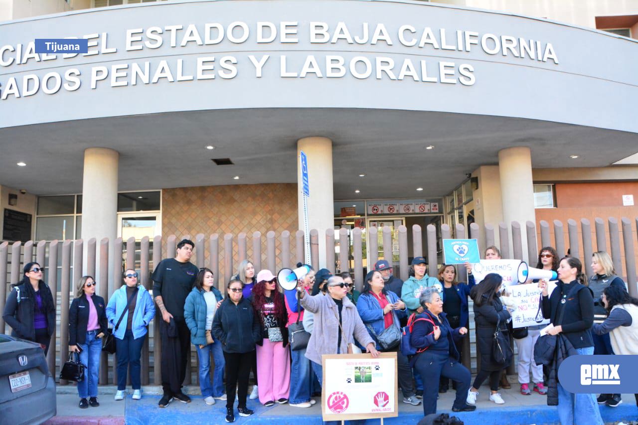 EMX-Avanza-proceso-penal-por-crueldad-animal-en-caso-del-perro-“Chato”