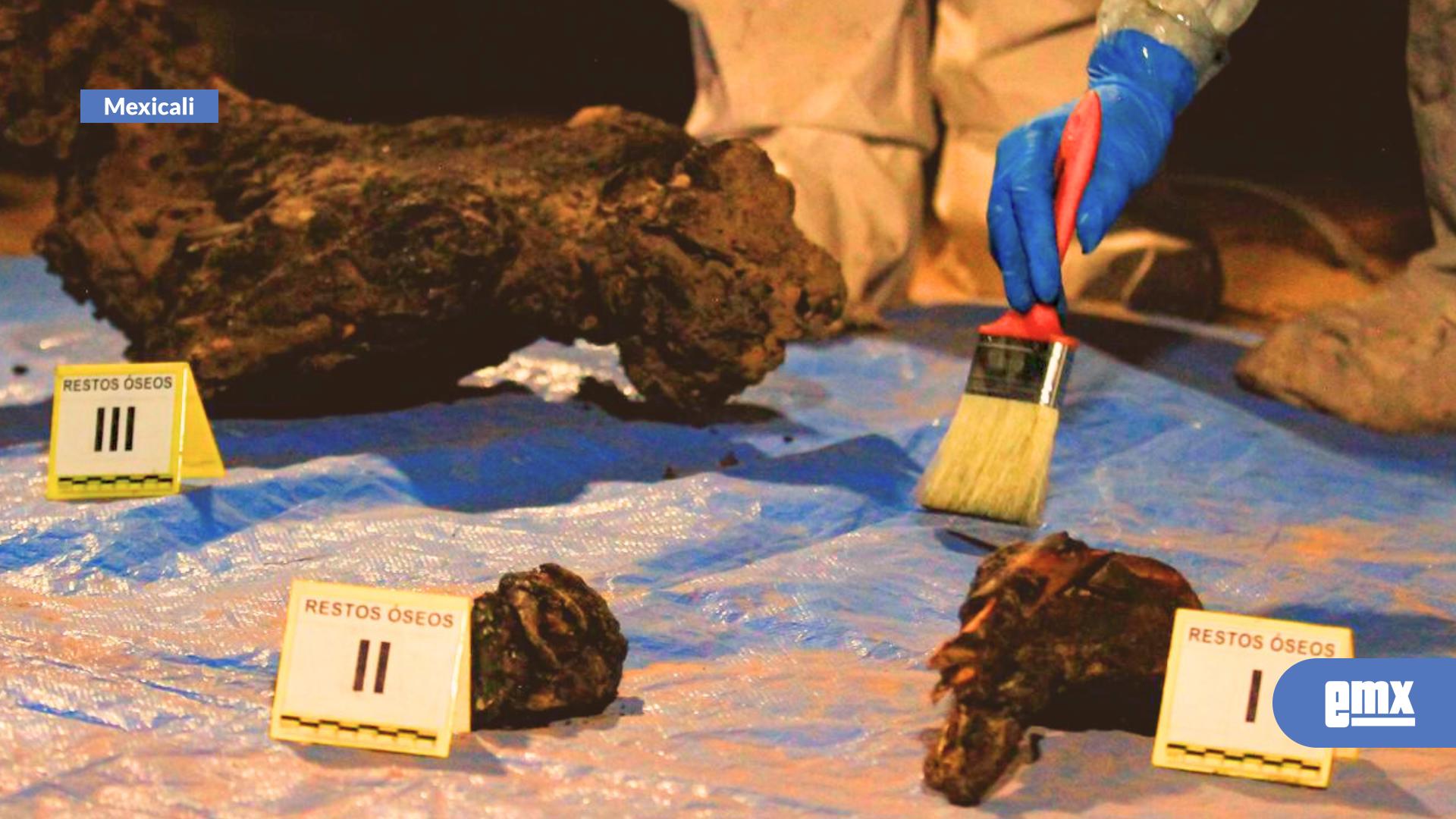 EMX-Localizan-quinta-fosa-clandestina-en-la-colonia-Miguel-Alemán;-suman-al-menos-11-cuerpos