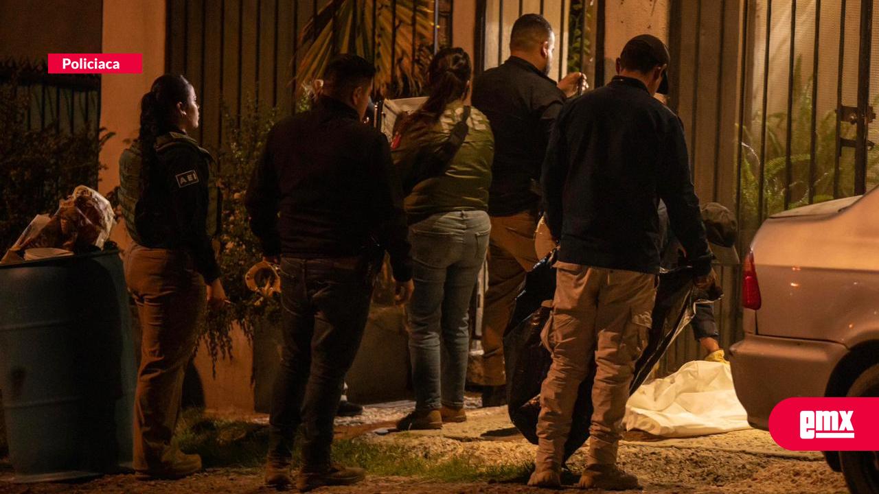 EMX-Rescatan-a-siete-perros-tras-cateo-en-vivienda;-uno-fue-localizado-sin-vida