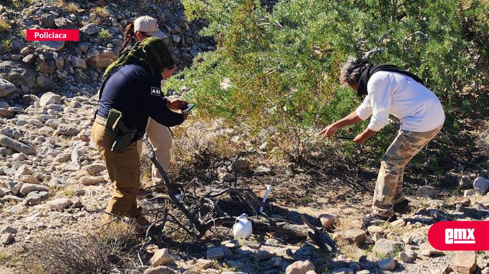 EMX-Nuevos hallazgos óseos refuerzan la urgencia de búsqueda forense en Mexicali