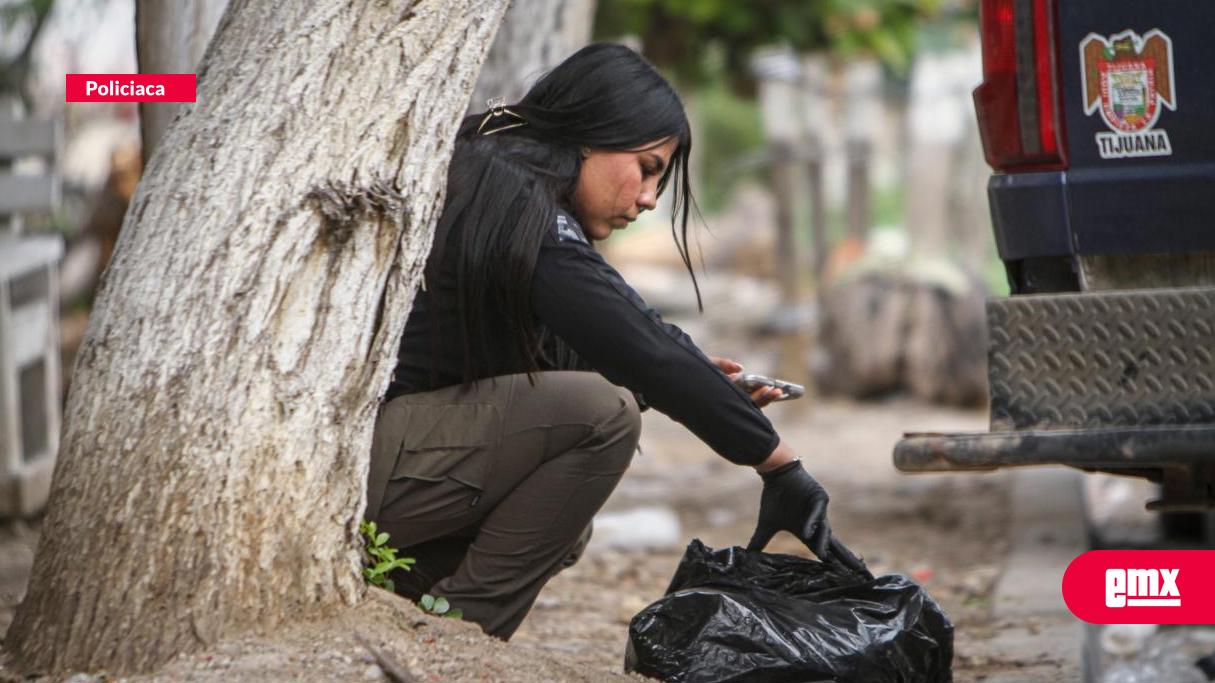 EMX-Localizan-cabezas-humanas-dentro-de-una-bolsa-negra-en-parque-del-Mariano-Matamoros