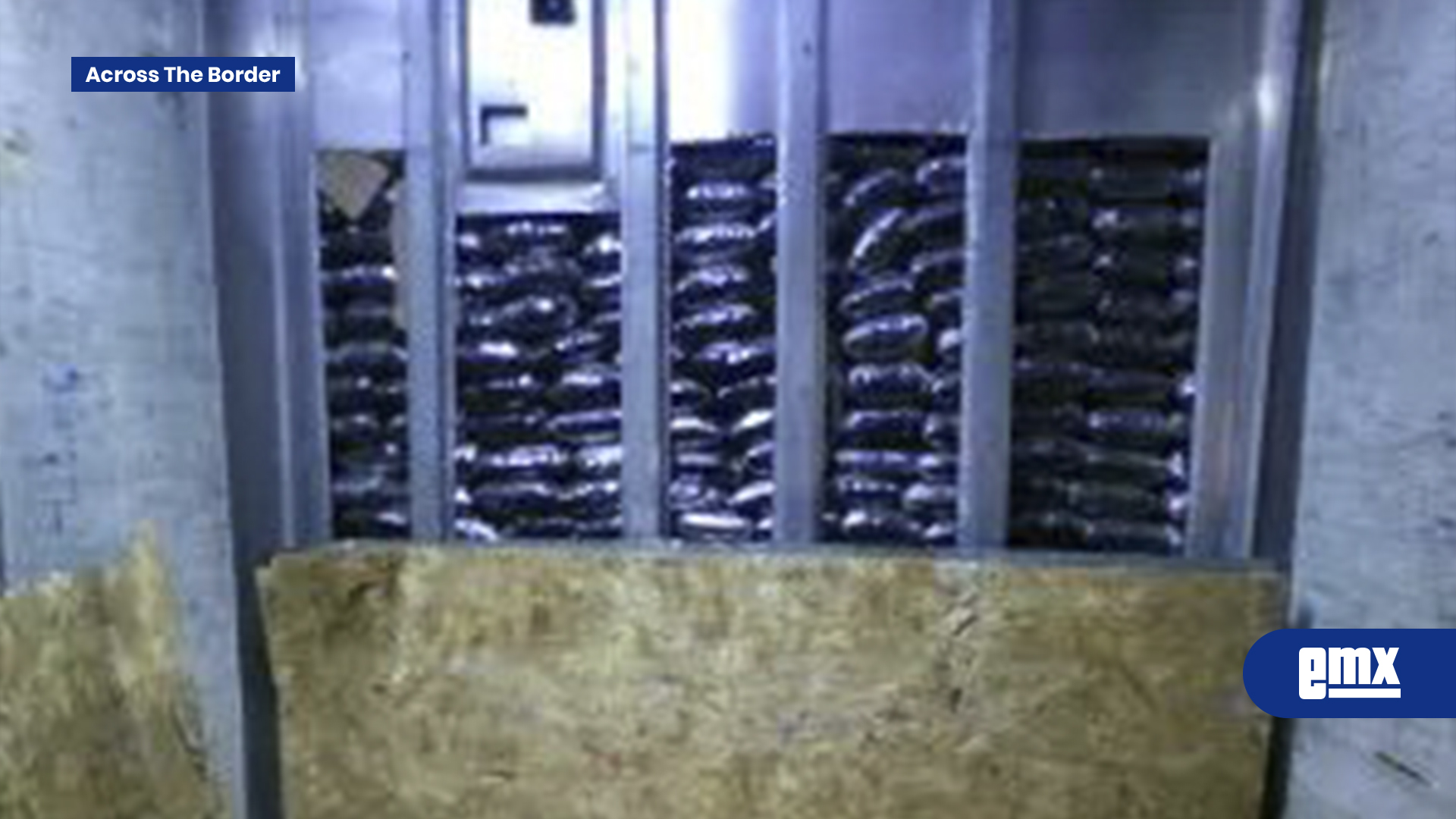 EMX-Incautan-en-garitas-casi-33-mil-libras-de-narcóticos