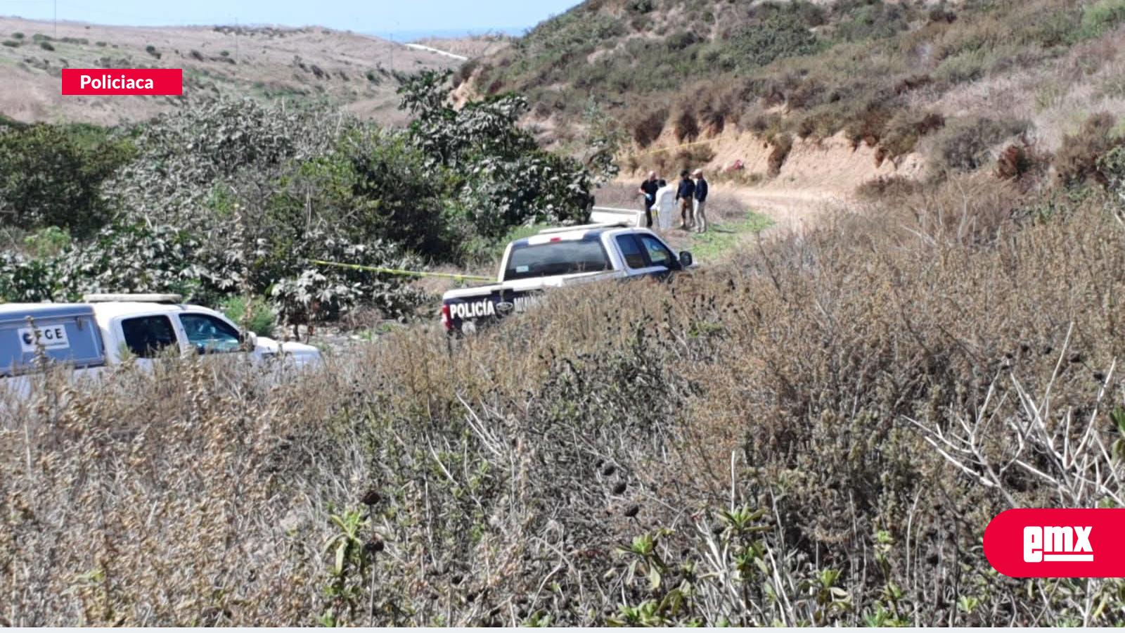 EMX-Localizan-dos-cuerpos-sin-vida-en-El-Tule