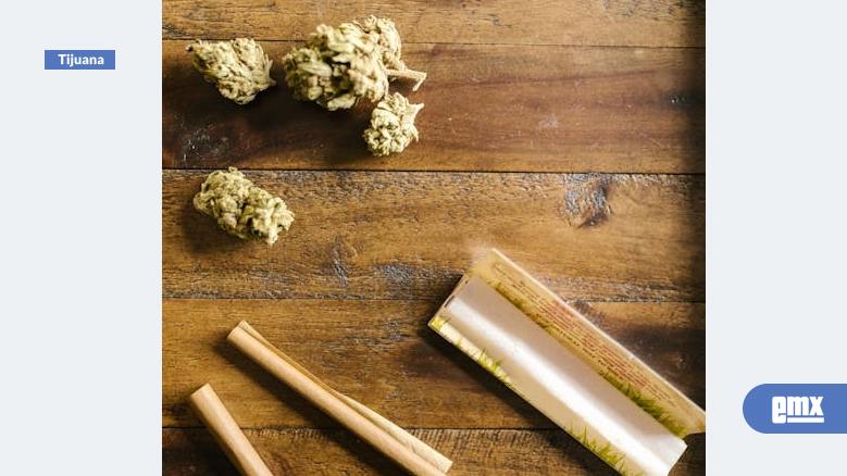 EMX-1-de-cada-5-bajacalifornianos-ha-consumido-drogas-ilegales-alguna-vez