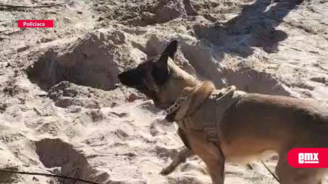 EMX-Aumentan fosas  clandestinas en Miguel Alemán.