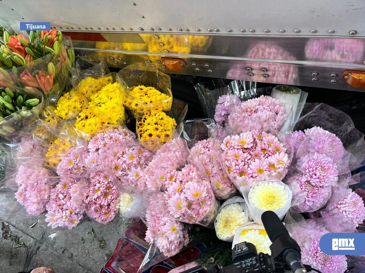 EMX-Crisantemos-y-margaritas:-flores-prohibidas-para-cruzar-a-EEUU