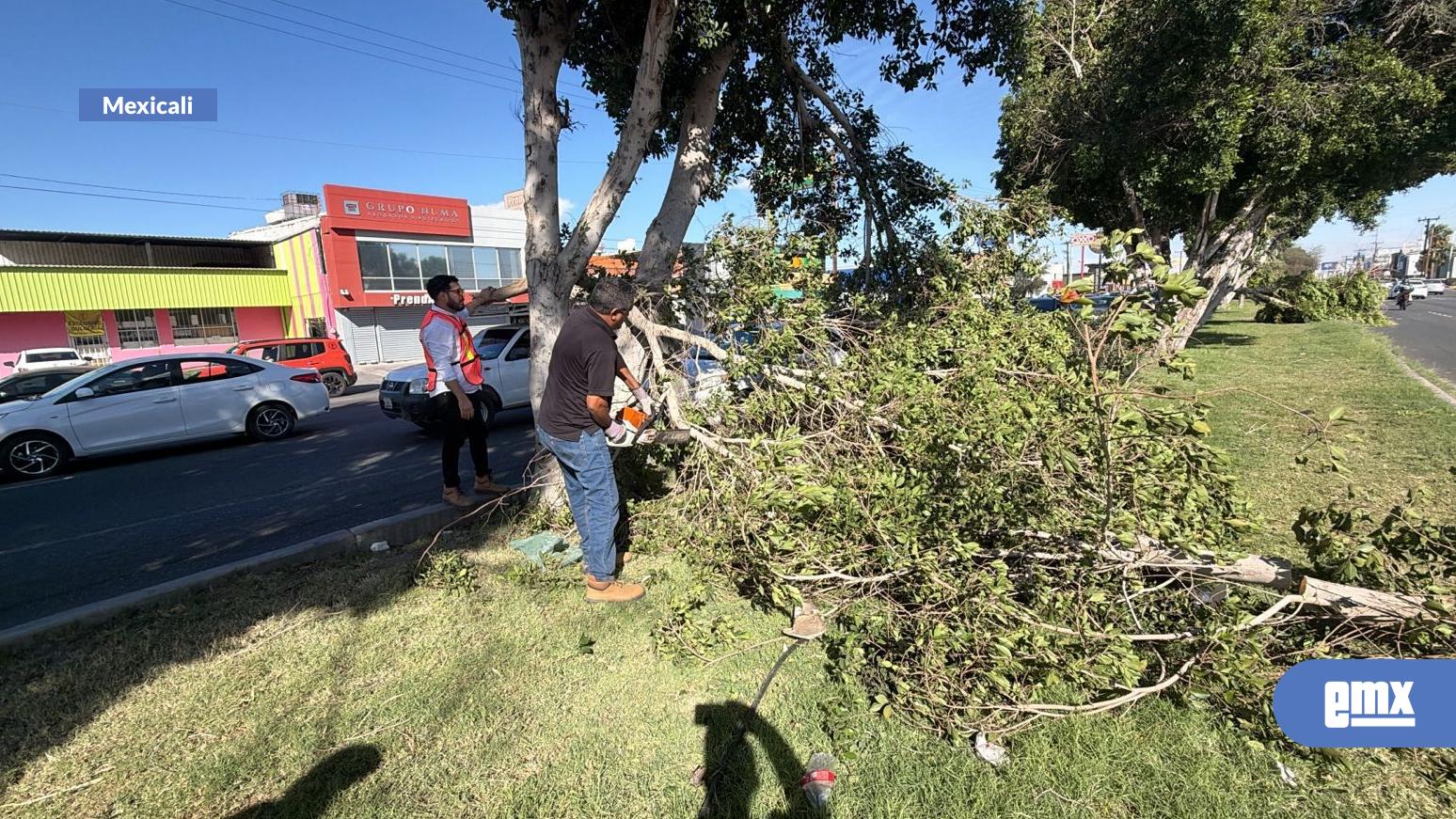 EMX-Vientos-provoca-daños--en-Mexicali