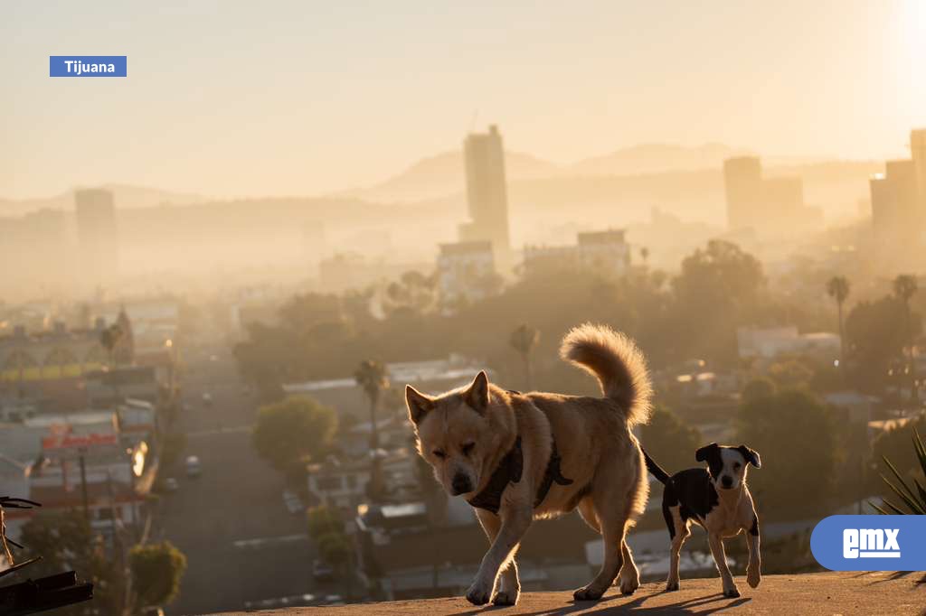 EMX-Tijuana-amanece-con-este-clima