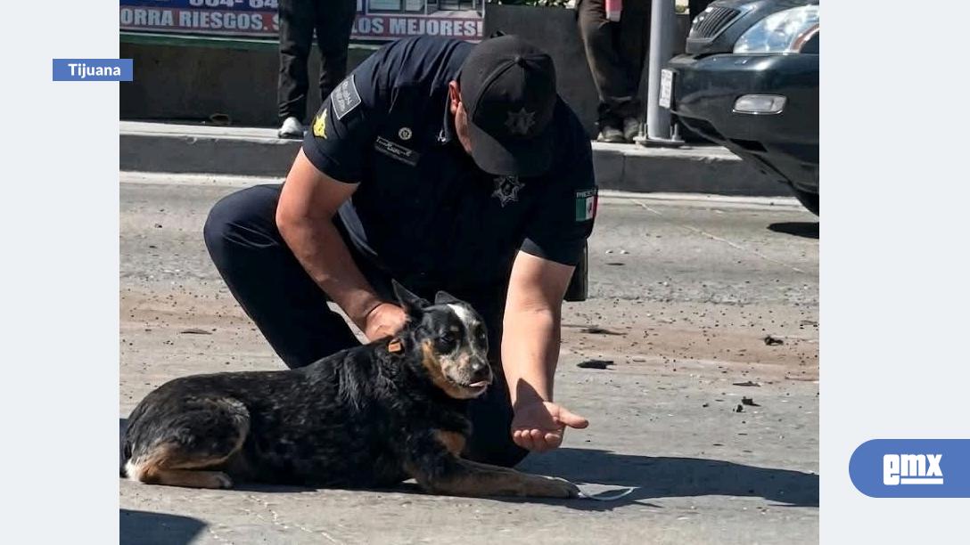 EMX-También-hay-espacio-para-la-humanidad-en-momentos-de-peligro.