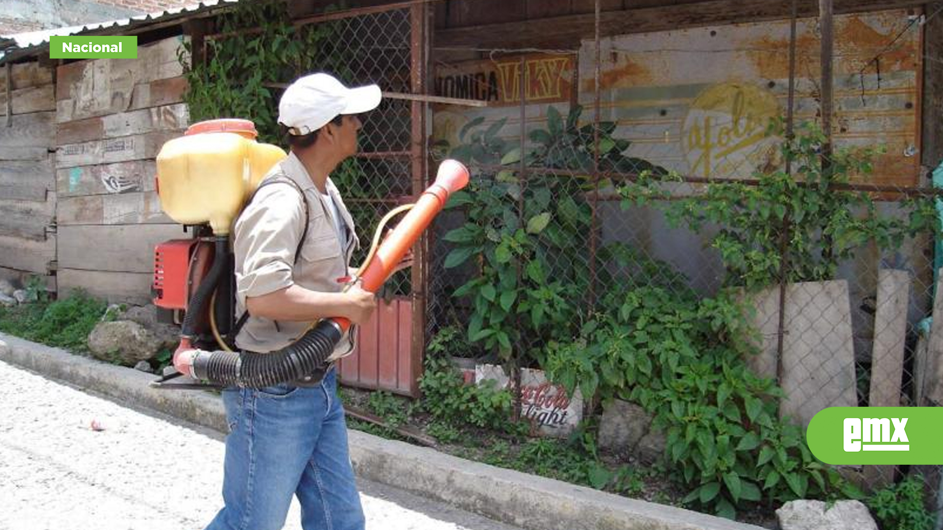EMX-Casos-de-dengue-aumentan-a-796-en-el-país;-cinco-estados-en-alerta