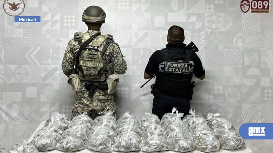 EMX-Reporta-seguridad-estatal-296-detenidos-por-narcomenudeo-en-Baja-California