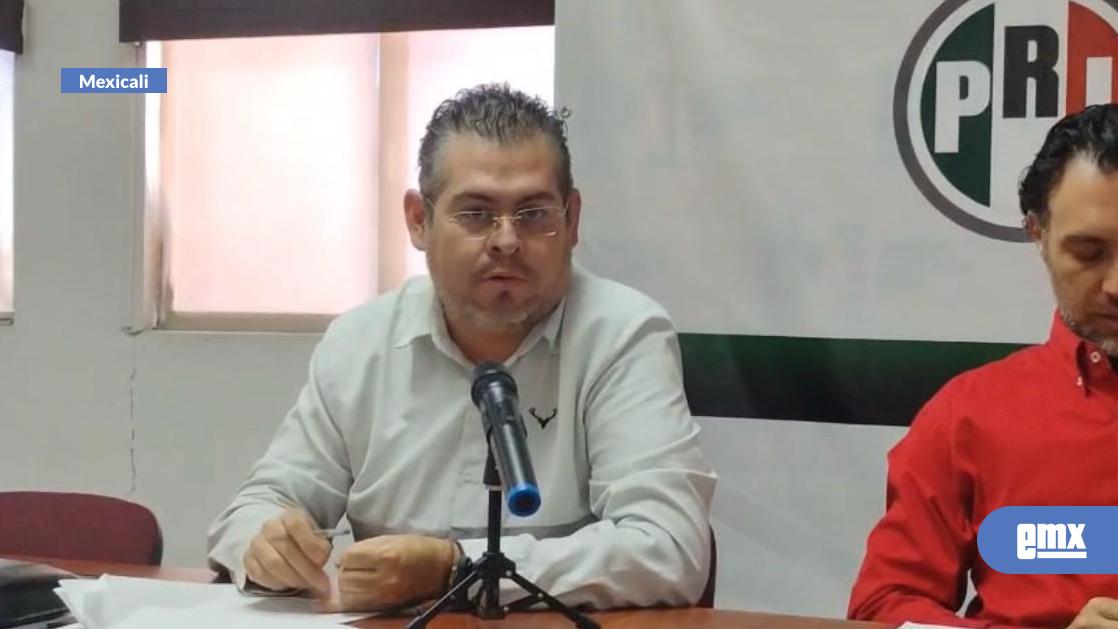 EMX-Tiene-TJE-15-días-para-sancionar-a-Netza-Jairegui