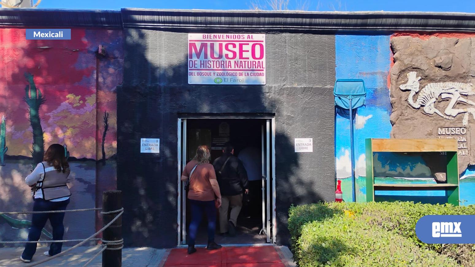 EMX-Inauguran-exposición-del-borrego-cimarrón