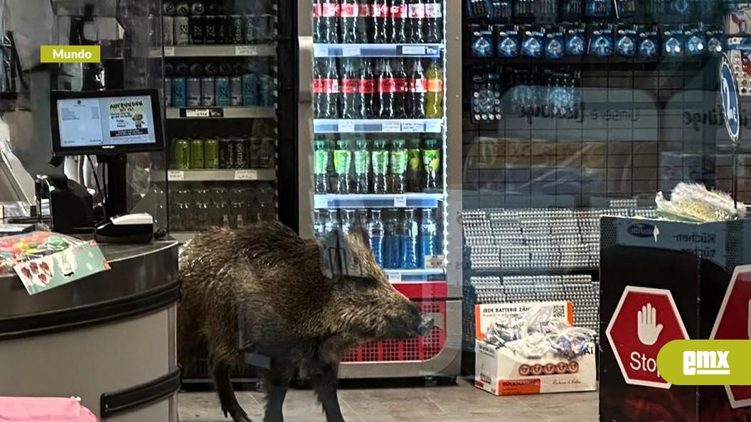 EMX-Jabalí-entra-a-centro-comercial-en-Berlín-y-desata-operativo-policial