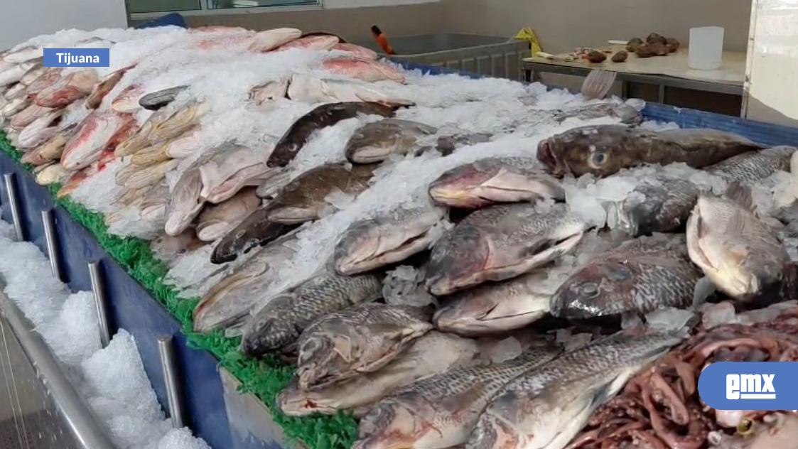 EMX-Aumentan-30%-ventas-de-mariscos-en-Tijuana-con-llegada-del-calor