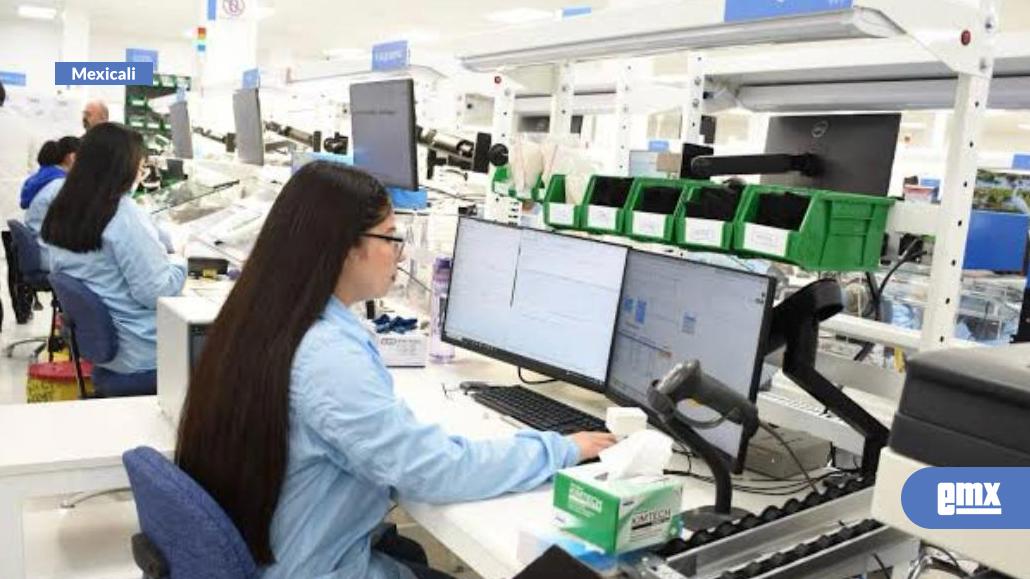 EMX-Mexicali-apuesta-por-la-digitalización-para-combatir-la-informalidad-laboral