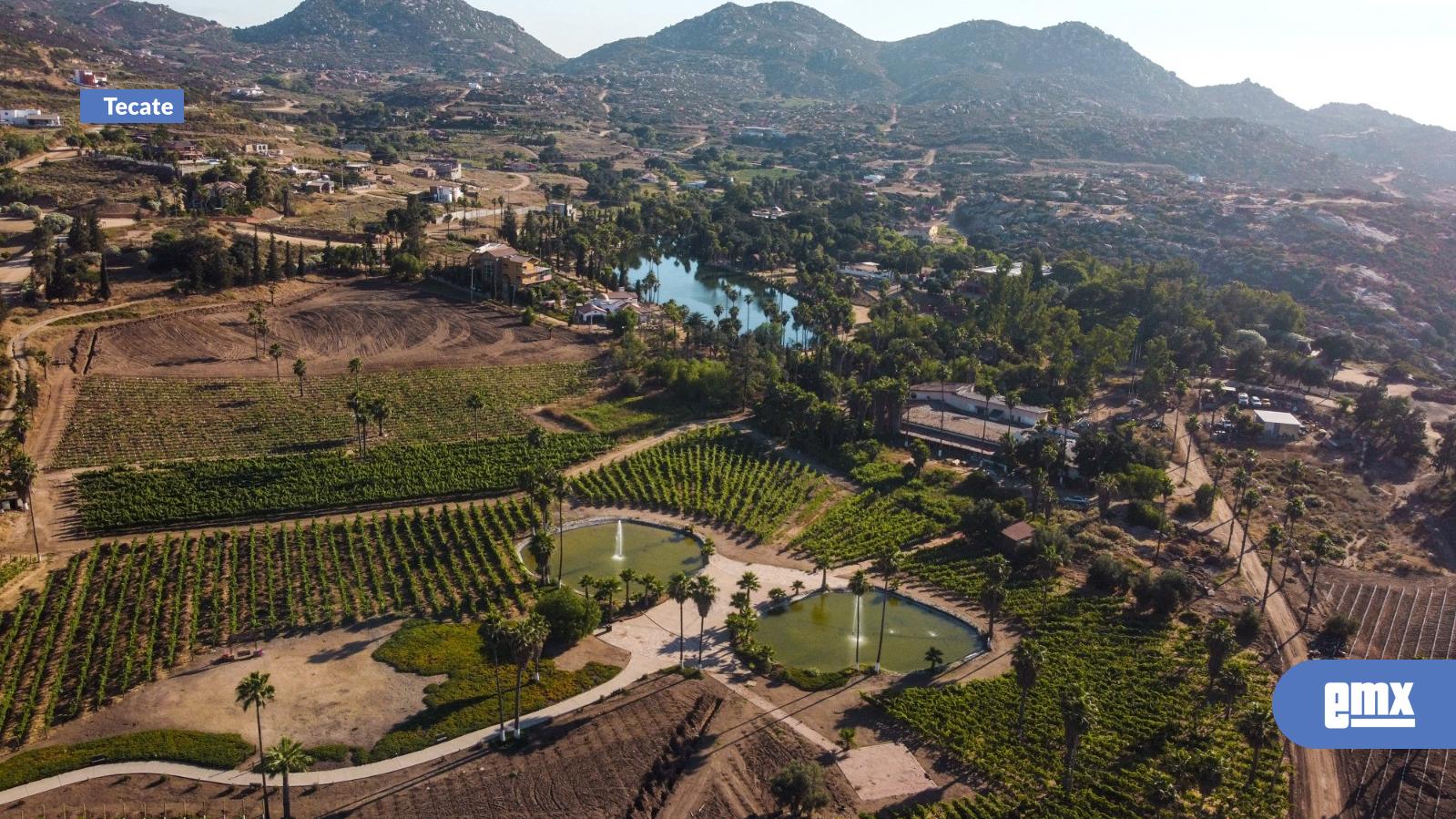 EMX-Rancho-Tecate-redefine-el-estilo-de-vida-en-la-Ruta-del-Vino