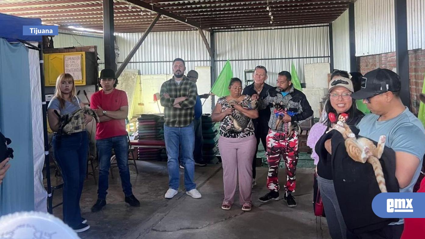EMX-Realiza-el-PVEM-Tijuana-campaña-de-esterilización-de-mascotas