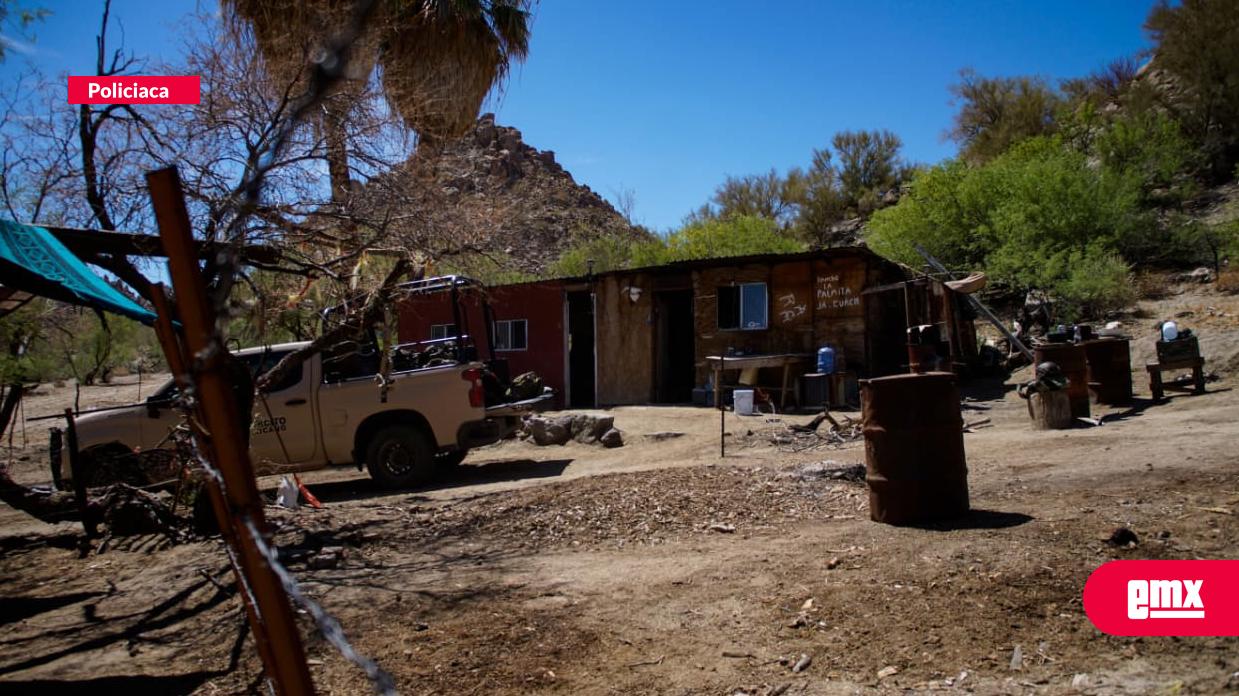 EMX-Desmantelan-narcolaboratorio-en-zona-montañosa-de-Mexicali-con-alta-capacidad-de-producción