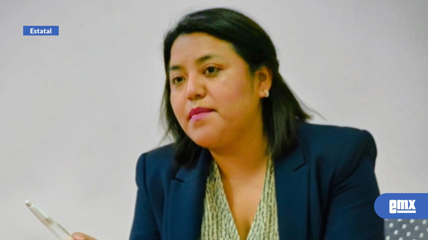 EMX-Promueve-diputada-Evelyn-Sánchez-la-formalización-comercial-del-sector-indígena-y-afromexicano