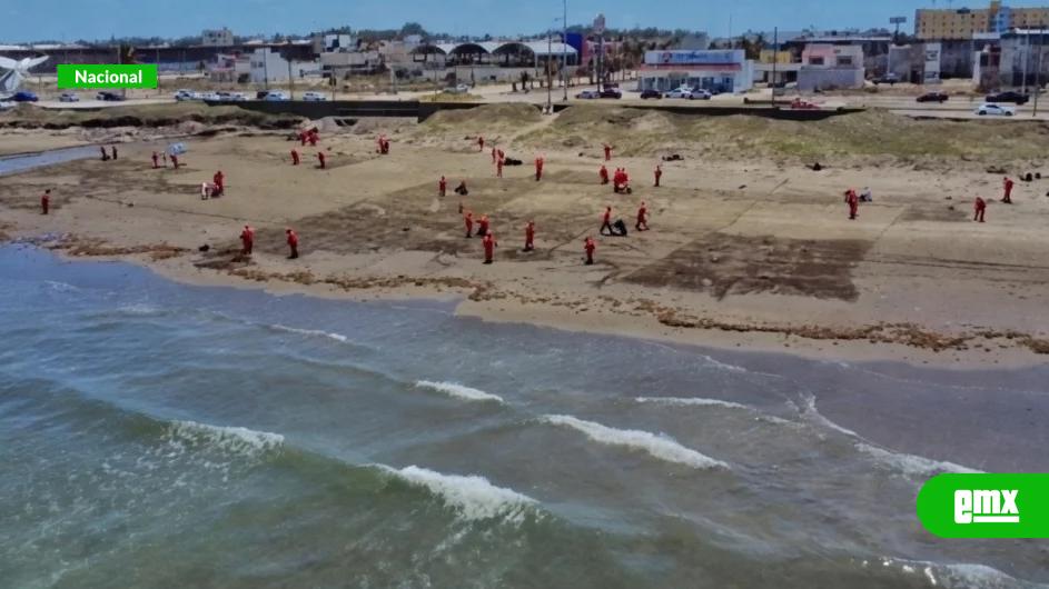 EMX-Recolecta-Pemex-128-toneladas-de-residuos-de-crudo-en-Golfo