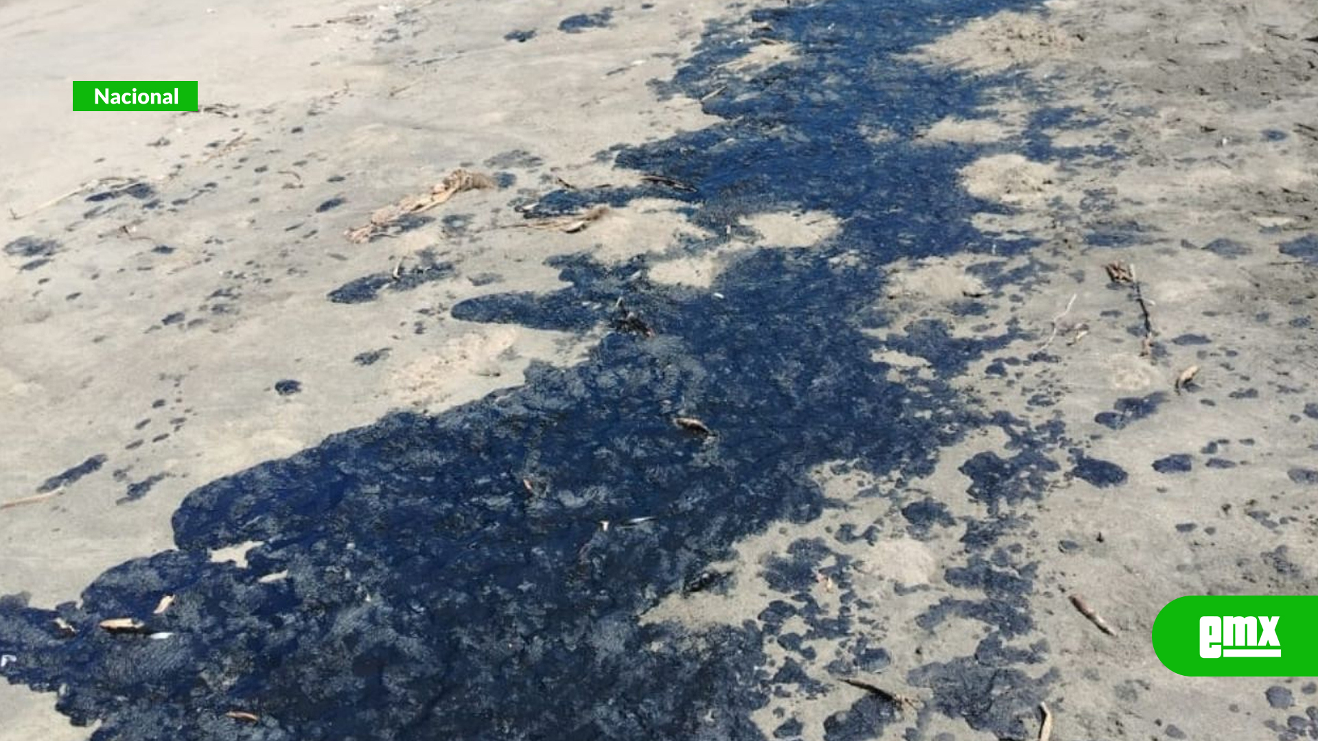 EMX-Grupo-interdisciplinario-atiende-derrame-de-hidrocarburo-en-el-Golfo-de-México