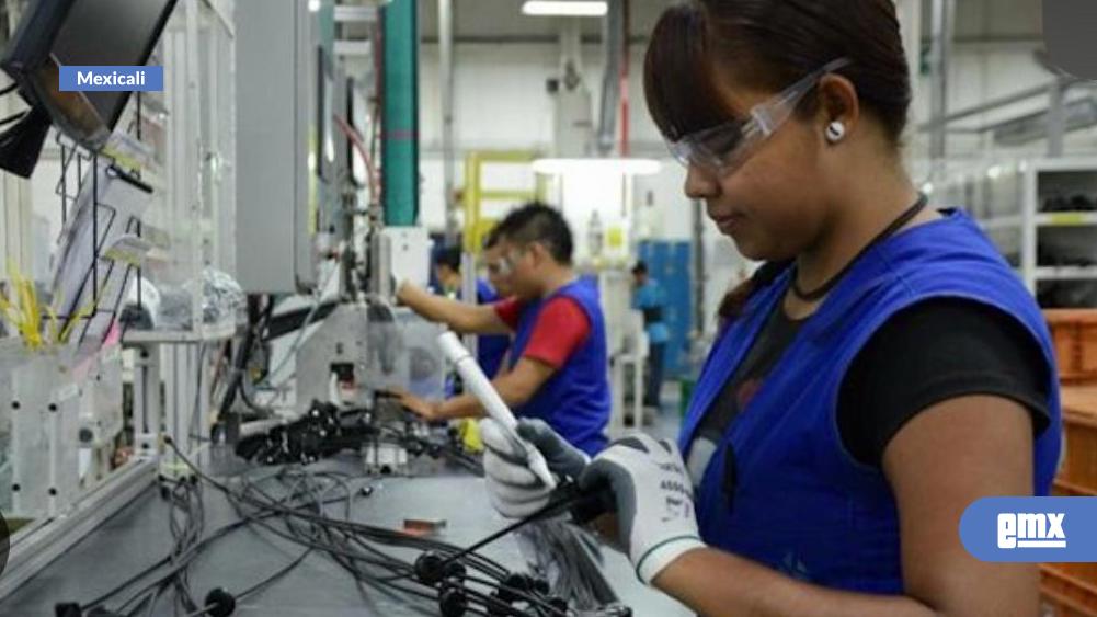 EMX-Impulsa-STPS-vinculación-laboral-y-difusión-de-vacantes-en-Mexicali