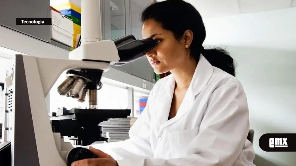 EMX-Aportan-carreras-STEM-formalidad-y-mayor-salario