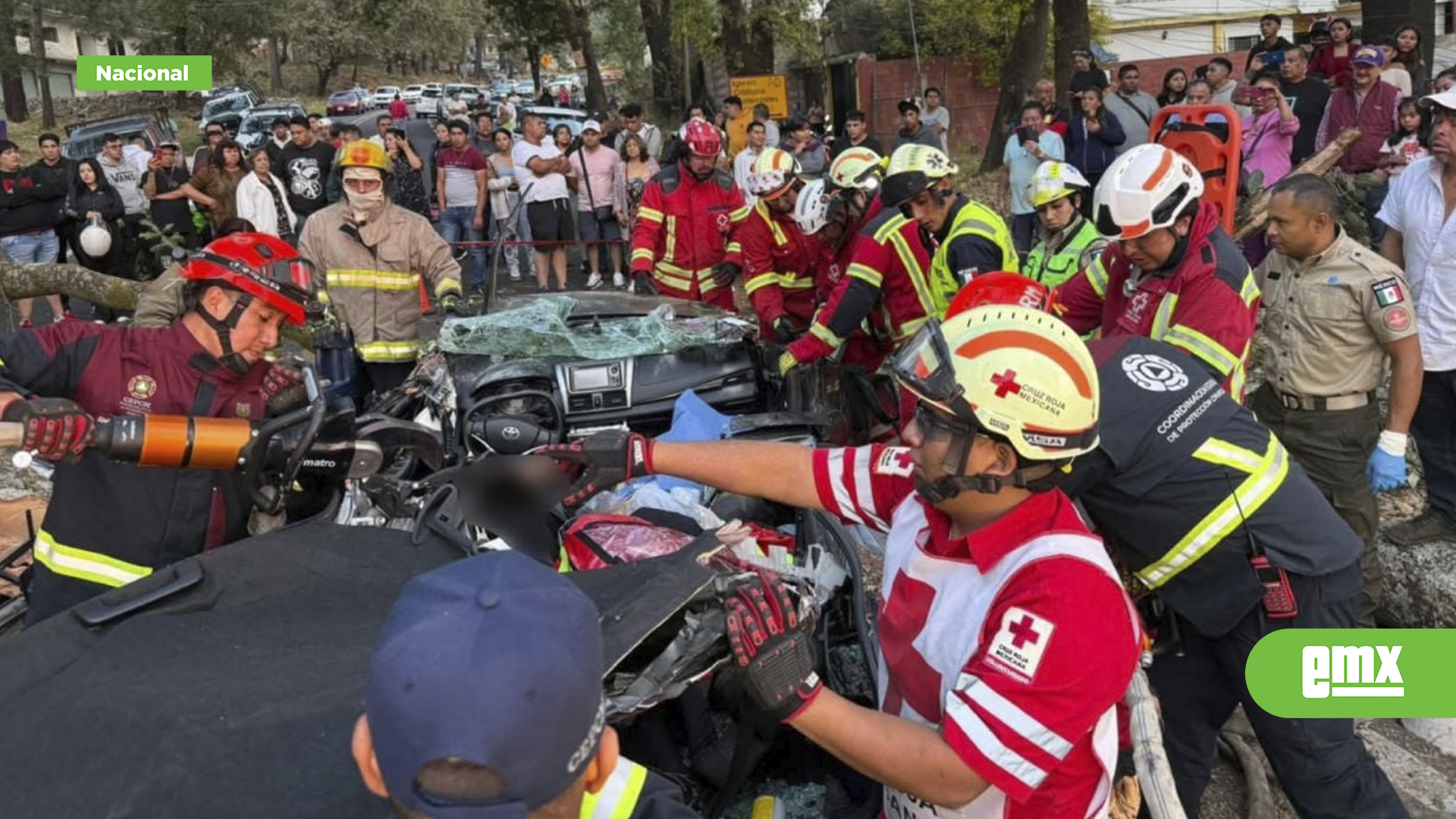 EMX-Mueren-tres-personas-al-caer-árbol-sobre-autos-en-la-México-Cuernavaca-al-término-de-Semana-Santa