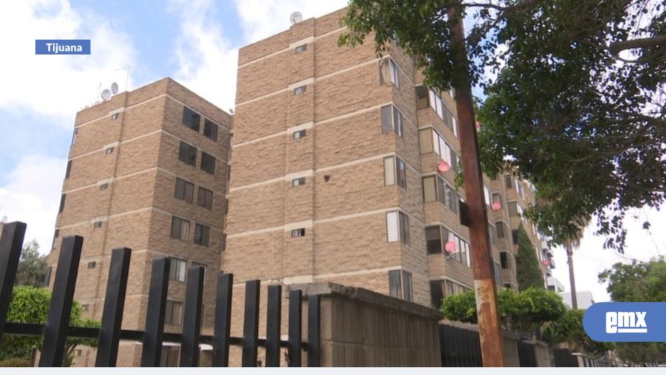 EMX-Reportan-plaga-de-abejas-en-edificios-de-Zona-Río