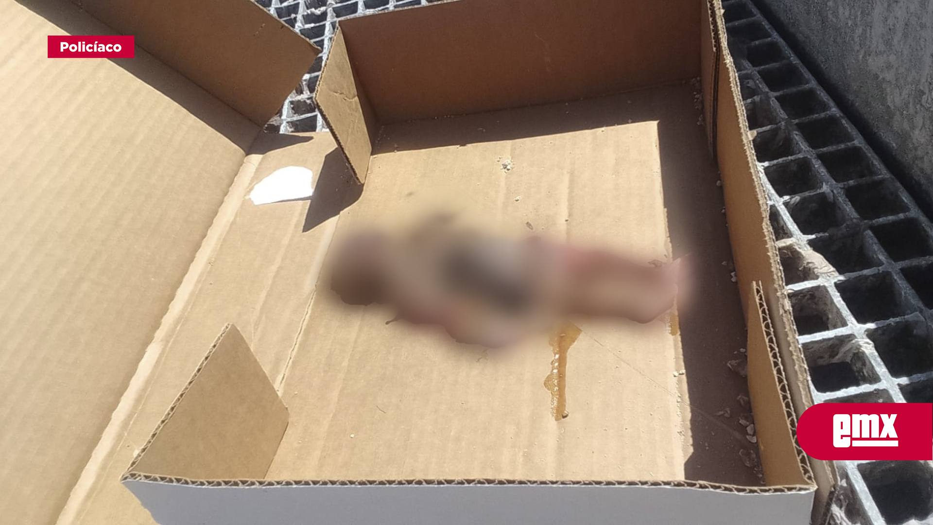 EMX-Localizan-cuerpo-de-feto-abandonado-en-San-Quintín