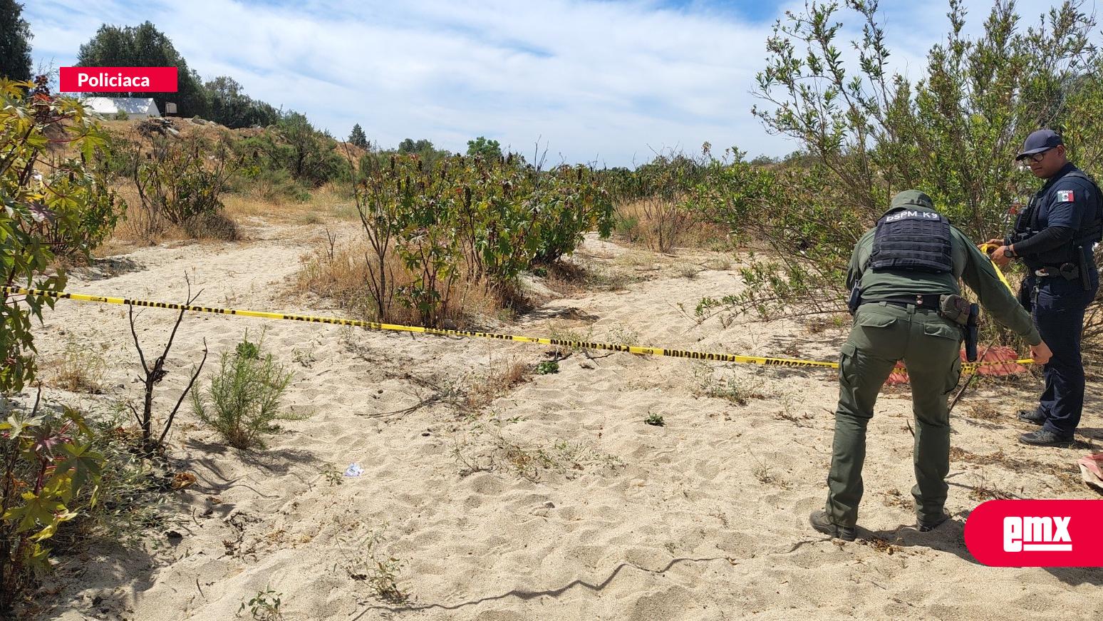 EMX-Colectivo-localiza-cuerpos-en-el-Valle-de-Guadalupe