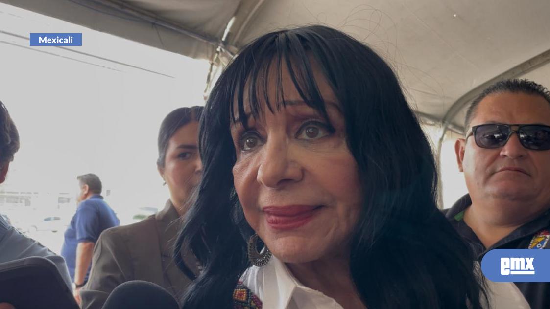 EMX-Crematorio de mascotas es ilegal: Norma Bustamante 