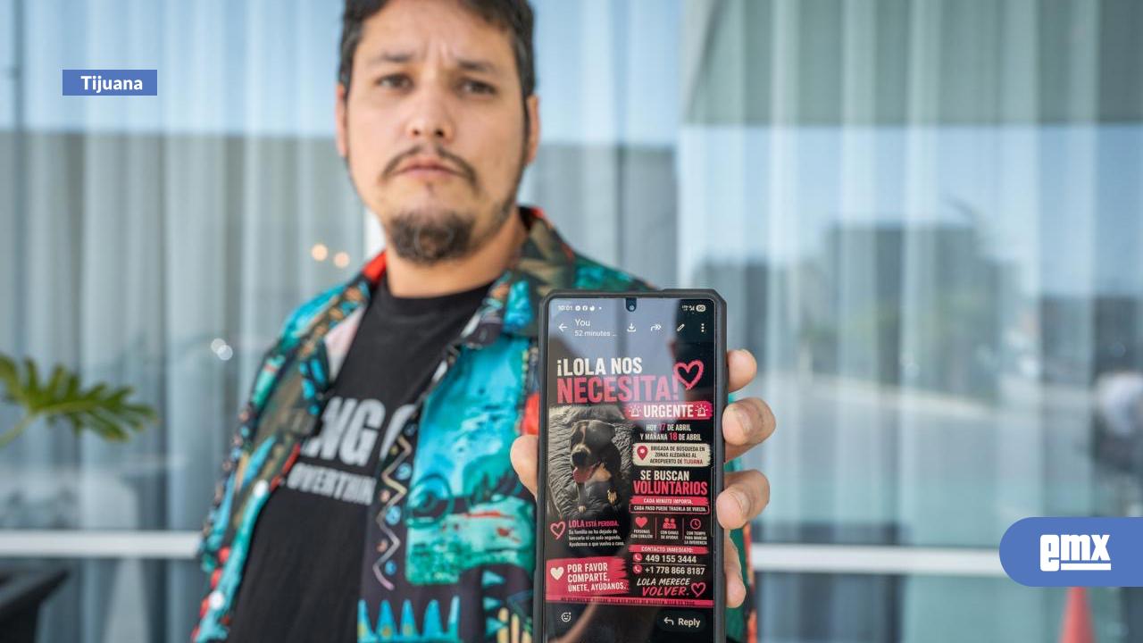 EMX-Buscan-a-“Lola”,-perrita-que-escapó-en-el-Aeropuerto-de-Tijuana;-dueño-pide-ayuda-urgente