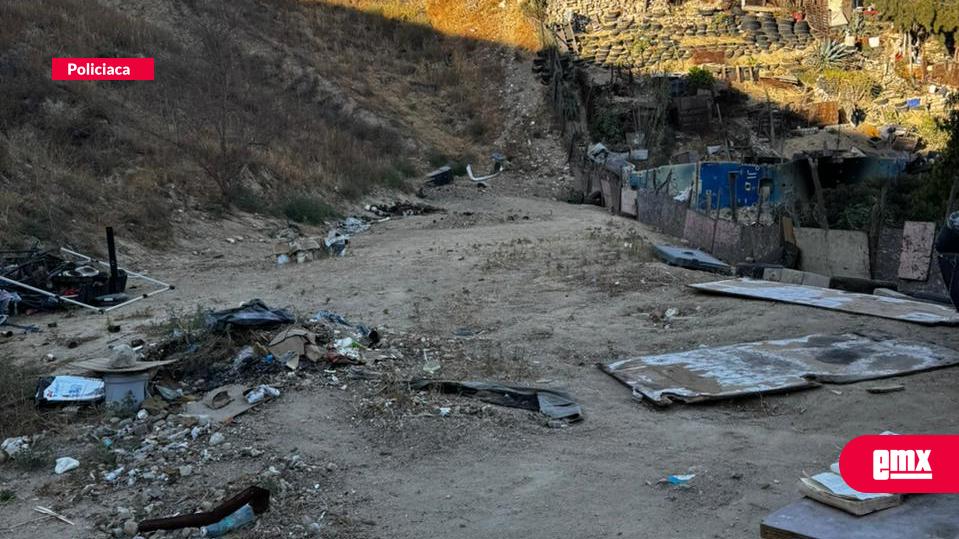 EMX-Rescatan-a-15-perros-tras-posible-caso-de-maltrato-animal