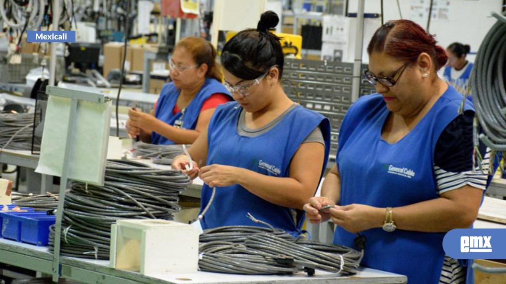 EMX-Mexicali-tiene-un-43%-de-mujeres-laborando-en-la-industria-maquiladora:-INDEX
