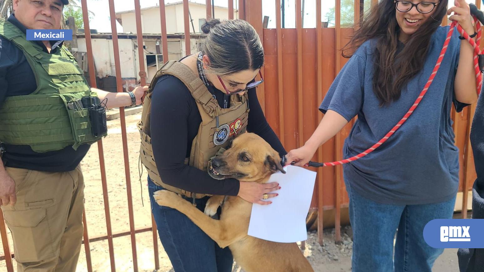 EMX-Rescata-FGE-a-perro-en-estado-abandono