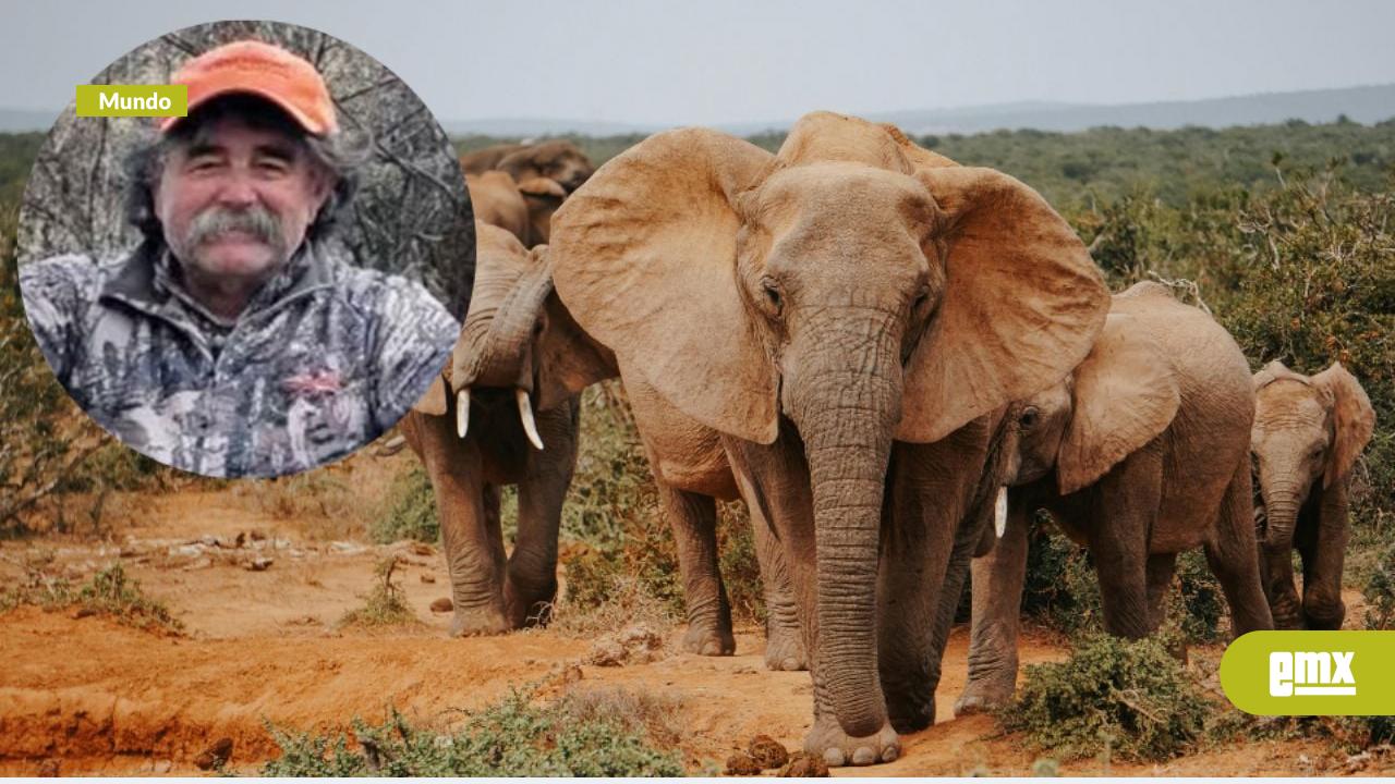 EMX-Muere-el-millonario-Ernie-Dosio-tras-ataque-de-elefantes-en-Gabón