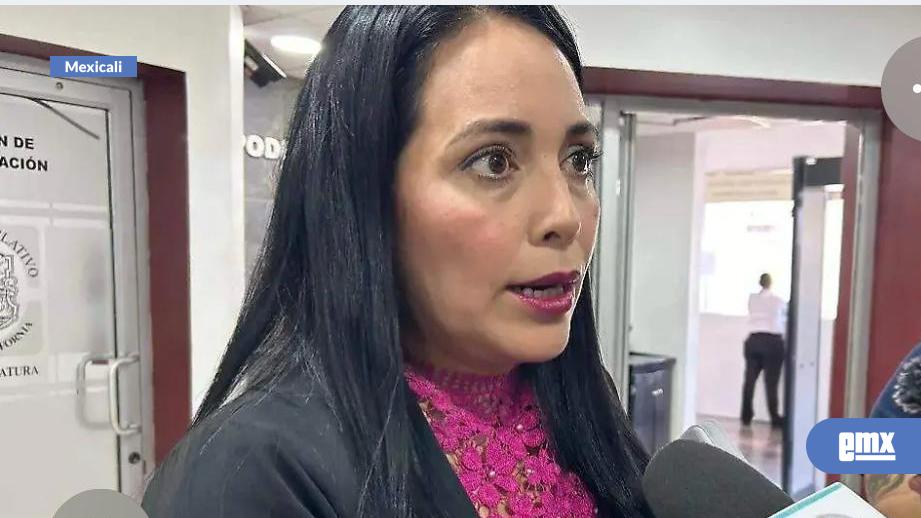 EMX-Propone-diputada-crear-banco-rural-estatal