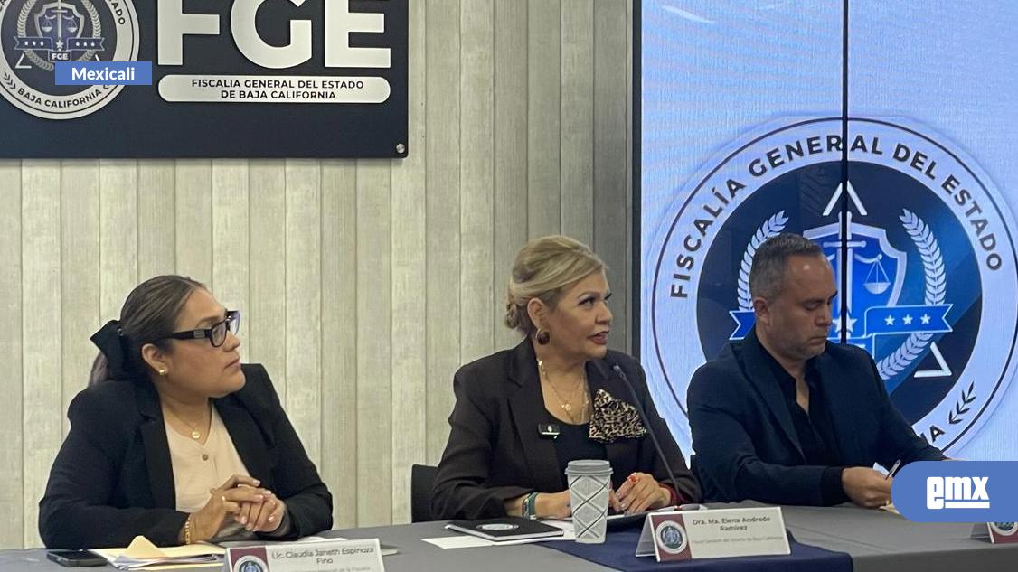 EMX-Sin-aplicar-pena-natural-contra-madre-que-olvidó-a-su-hijo-en-el-auto:-FGE