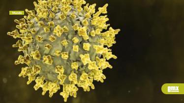 EMX-Israel-confirma-su-primer-caso-de-hantavirus en-medio-de-alerta-internacional