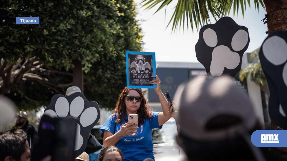 EMX-Protestan-en-Tijuana-para-exigir-justicia-a-Fiscalía-por-gato-torturado