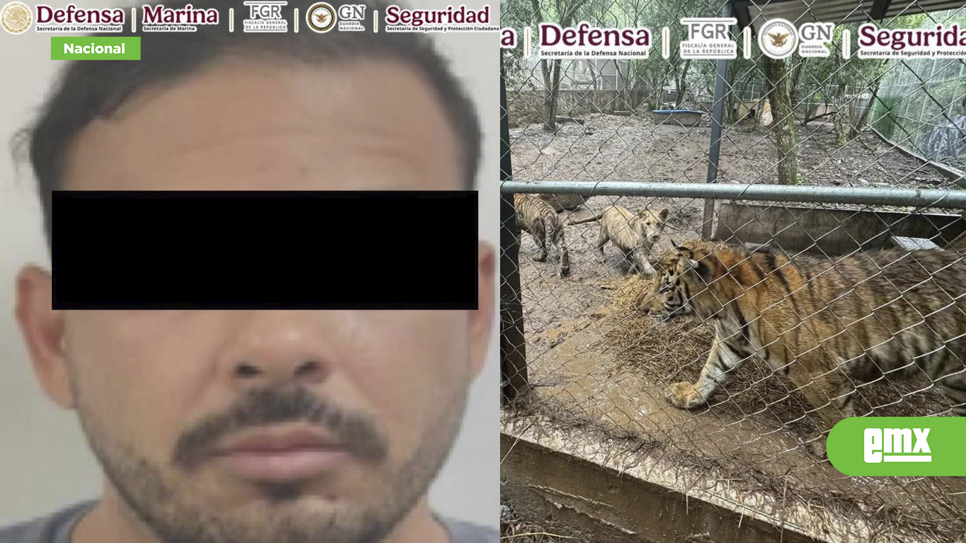 EMX-Capturan-a-líder-de-una-célula-afín-al-Cartel-del-Noroeste:-Harfuch